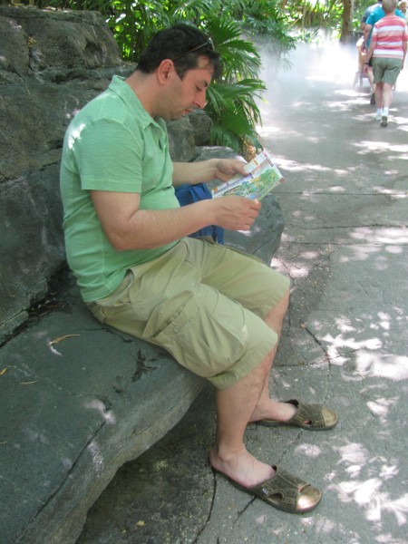 Animal Kingdom 092.jpg